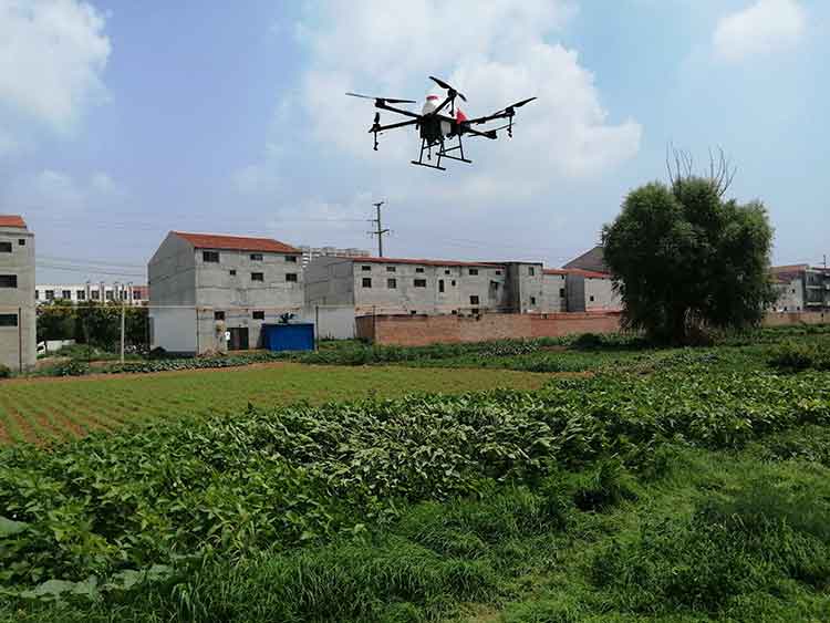 农业植保91免费网址在线观看